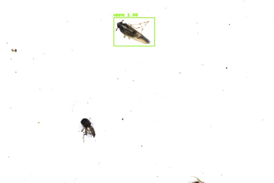 Image 111